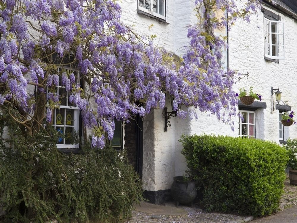 Old Church House Inn Newton Abbot Luaran gambar